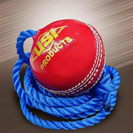 USI Universal Cricket Training Universal Leather Ball - 567H