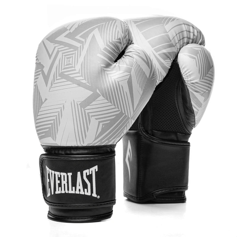 Everlast Boxing Training Gloves