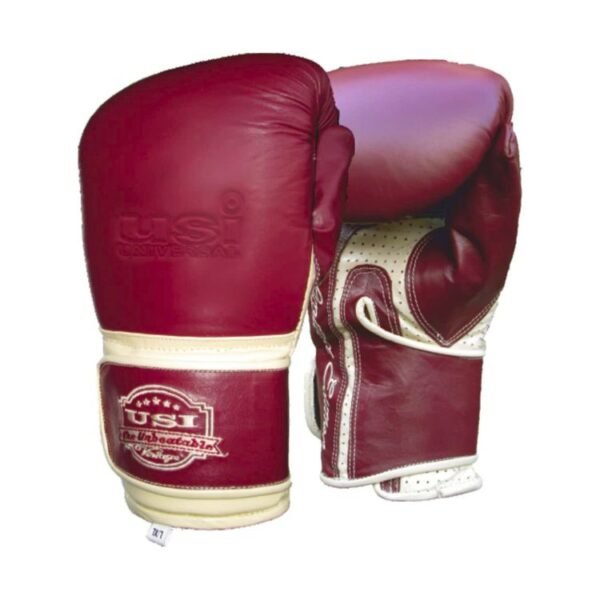 Heavy bag Gloves vintage series - 01