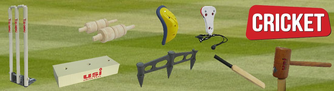 Cricket Accessories